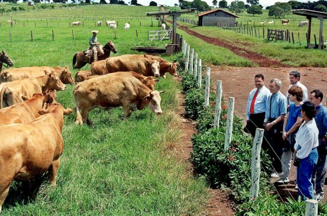 Σήμα κινδύνου εκπέμπουν οι κτηνίατροι για τους ελέγχους