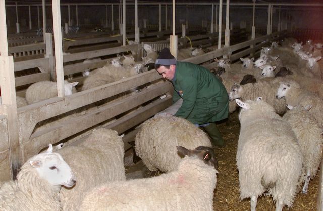 Κουκουλόπουλος: Εχουν εκταμιευθεί €5 εκατ. για τον καταρροϊκό πυρετό