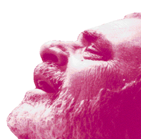 ΣΤΕΛΙΟΣ ΚΑΖΑΝΤΖΙΔΗΣ