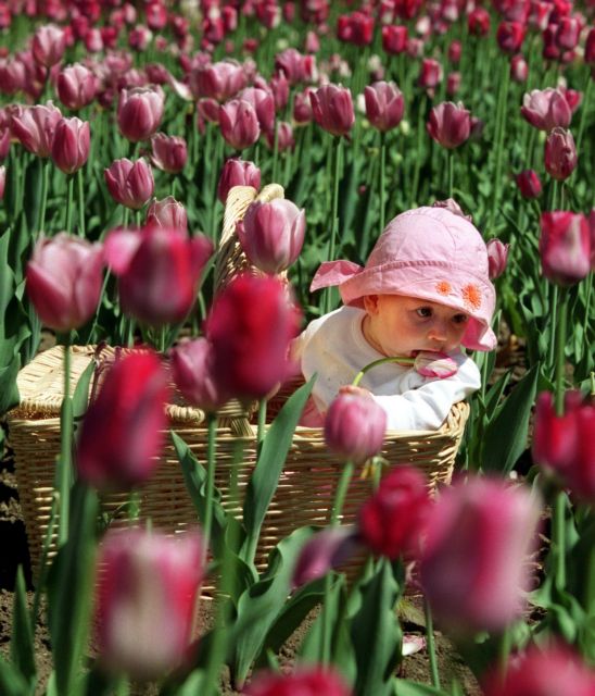 Φεστιβάλ για τη Γιορτή της Μητέρας από το imommy.gr