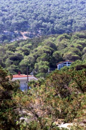 «Συγχωροχάρτι» για το κτίσιμο σε δάση