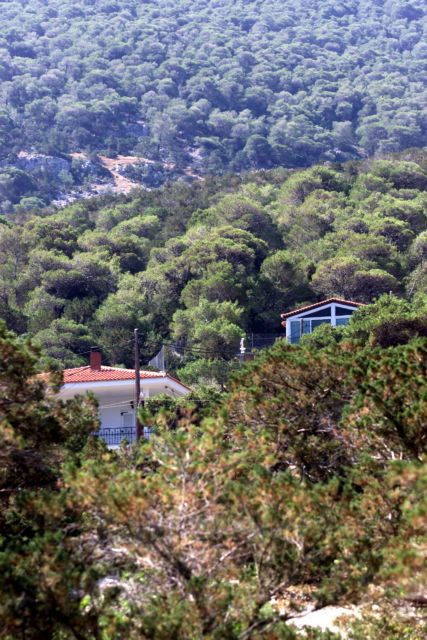 «Συγχωροχάρτι» για το κτίσιμο σε δάση