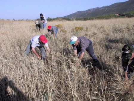 Χρ. Οικονόμου: Αρουραίοι και ξενομπάτες