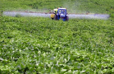70 εκατ. ευρώ στήριξη στην καλλιέργεια οσπρίων