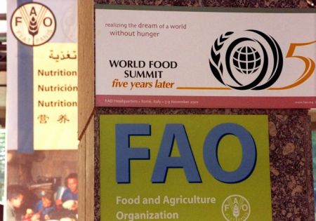 ΟΗΕ: Υποχώρησε κατά $153 δισ. το κόστος εισαγωγής τροφίμων