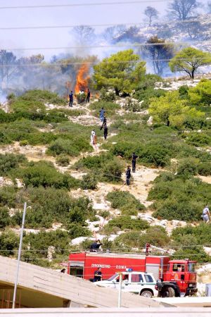 Σε ύφεση η πυρκαγιά που ξέσπασε νωρίτερα στο Μενίδι
