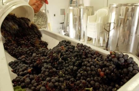 Απώλεια δημοσίων εσόδων από την επιβολή φόρου στο κρασί