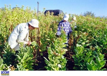 Σε «άνυδρα εδάφη» η ελληνική γεωργία