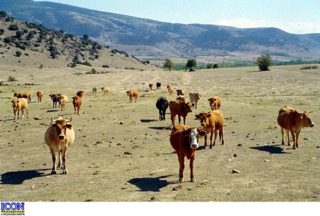 Μηδενική αύξηση στο νοίκι για τη χρήση δημόσιων βοσκοτόπων