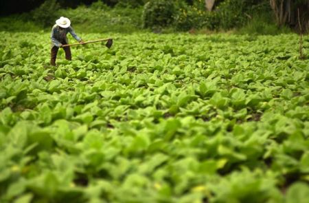 Τσαυτάρης : Σημαντικά οφέλη από τη συμφωνία με την Philip Morris