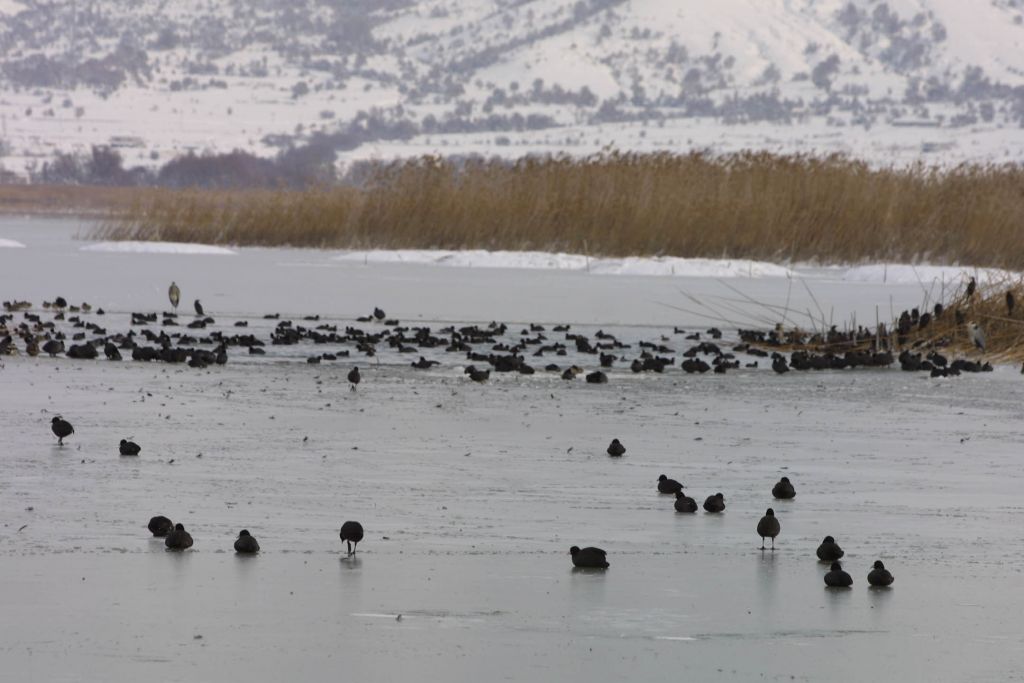 Επιμένει το «πολικό» ψύχος στη Βόρεια Ελλάδα