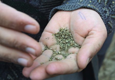 Εγκατέλειψαν 60 κιλά κάνναβης μέσα σε αυτοκίνητο