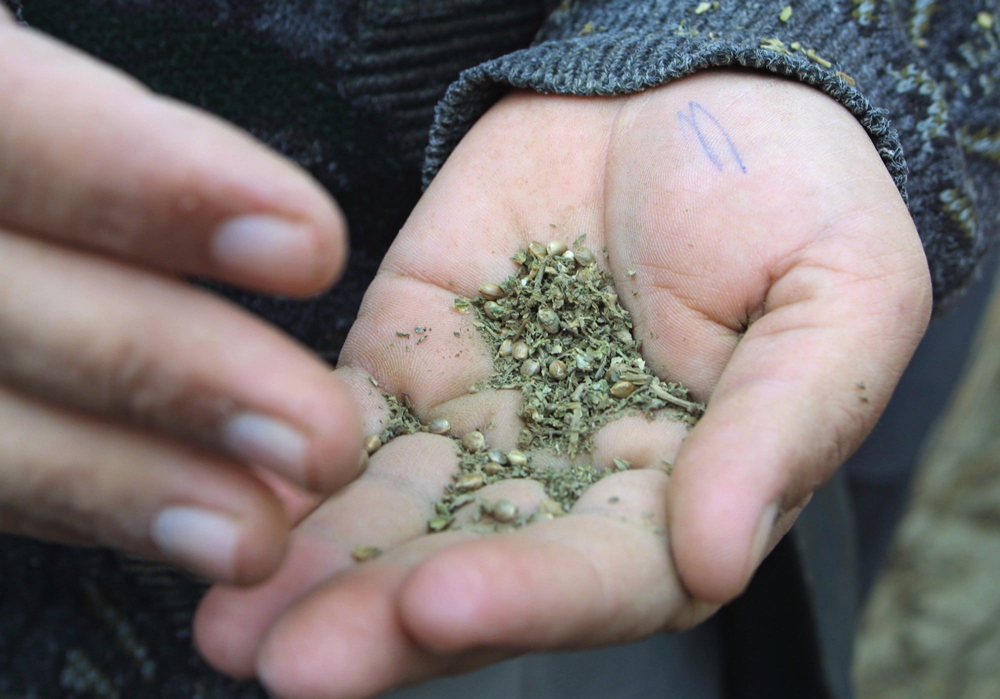 Εγκατέλειψαν 60 κιλά κάνναβης μέσα σε αυτοκίνητο