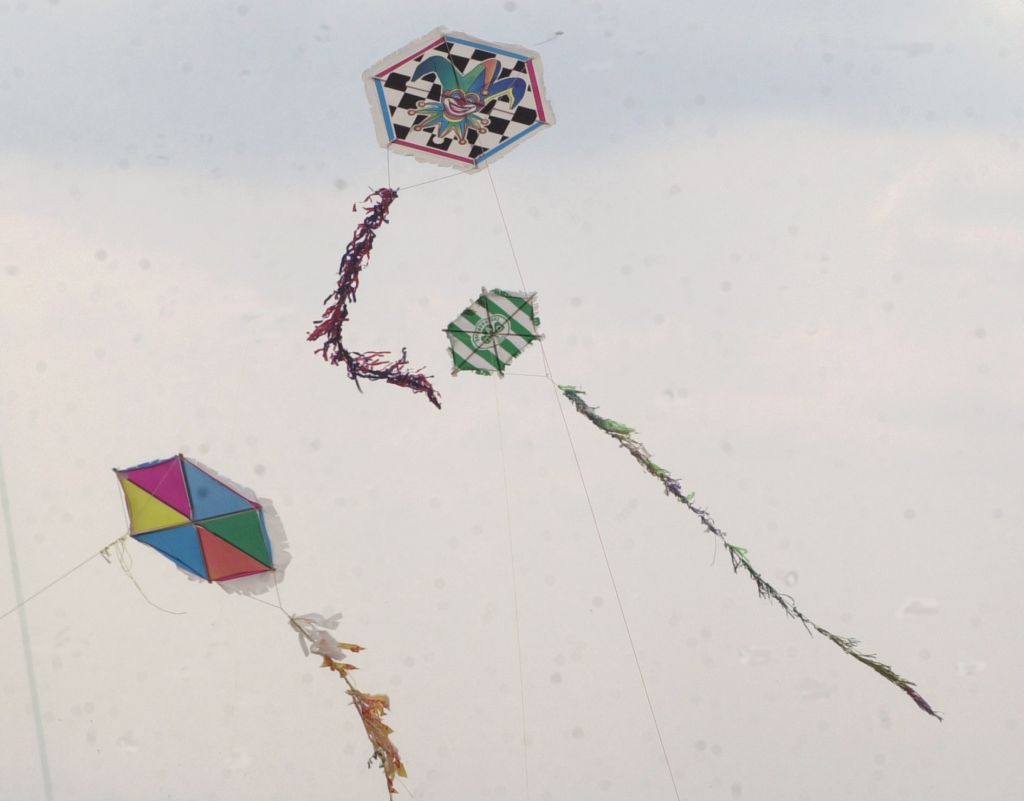 Ινδία: Φρικτοί θάνατοι από σπάγγο χαρταετών που τυλίχθηκε στο λαιμό τους