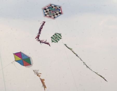 Ινδία: Φρικτοί θάνατοι από σπάγγο χαρταετών που τυλίχθηκε στο λαιμό τους