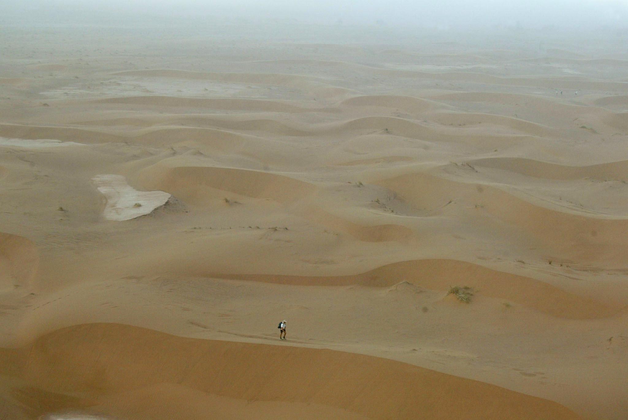 Γιγάντιο τεχνητό δάσος θα ανακόψει την επέκταση της Σαχάρας