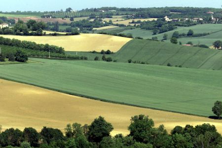 Αγροτική Ανάπτυξη: 315 εκατ. ευρώ για τα «Σχέδια Βελτίωσης»