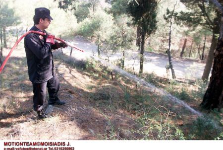 Αύξηση δασικών πυρκαγιών, μείωση καμμένων εκτάσεων