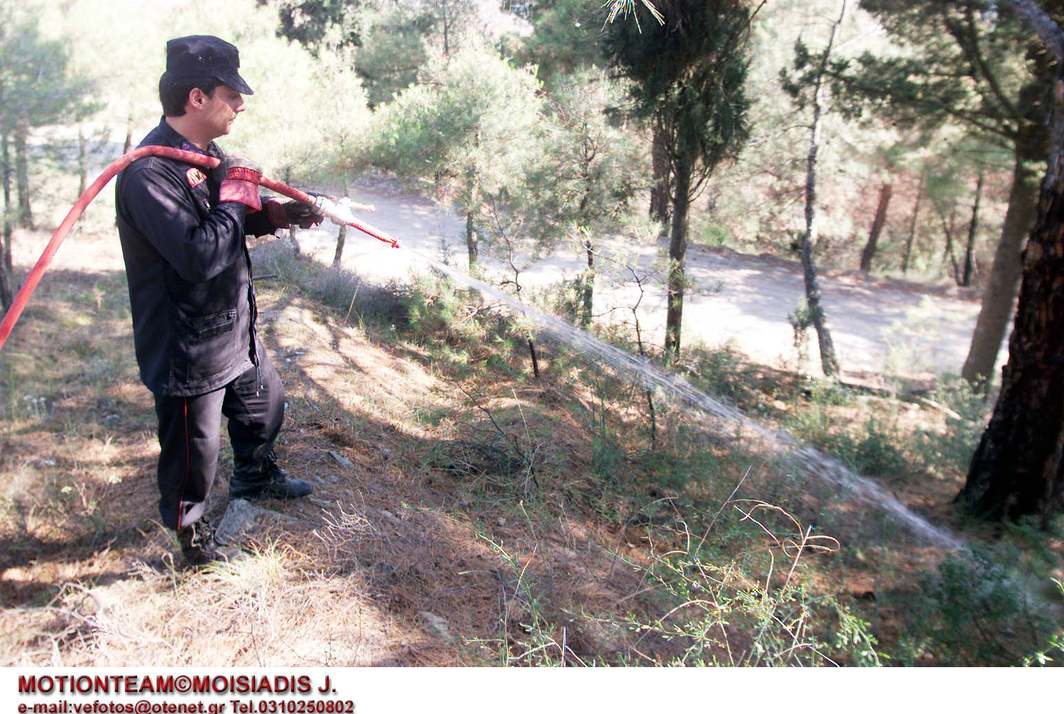 Αύξηση δασικών πυρκαγιών, μείωση καμμένων εκτάσεων