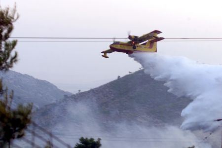 Περιορίστηκε η πυρκαγιά στη Φυλή Αττικής