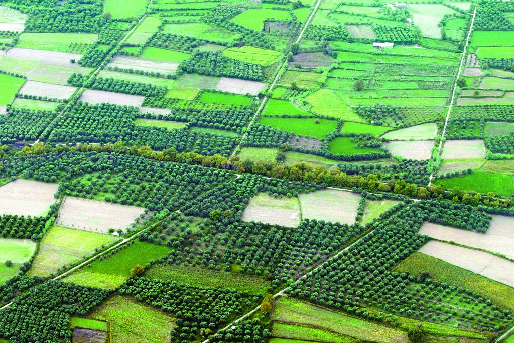 ΥΠΟΙΚ: Με διάταξη θα επιλυθεί το ζήτημα του καθεστώτος ΦΠΑ των αγροτών για το 2017