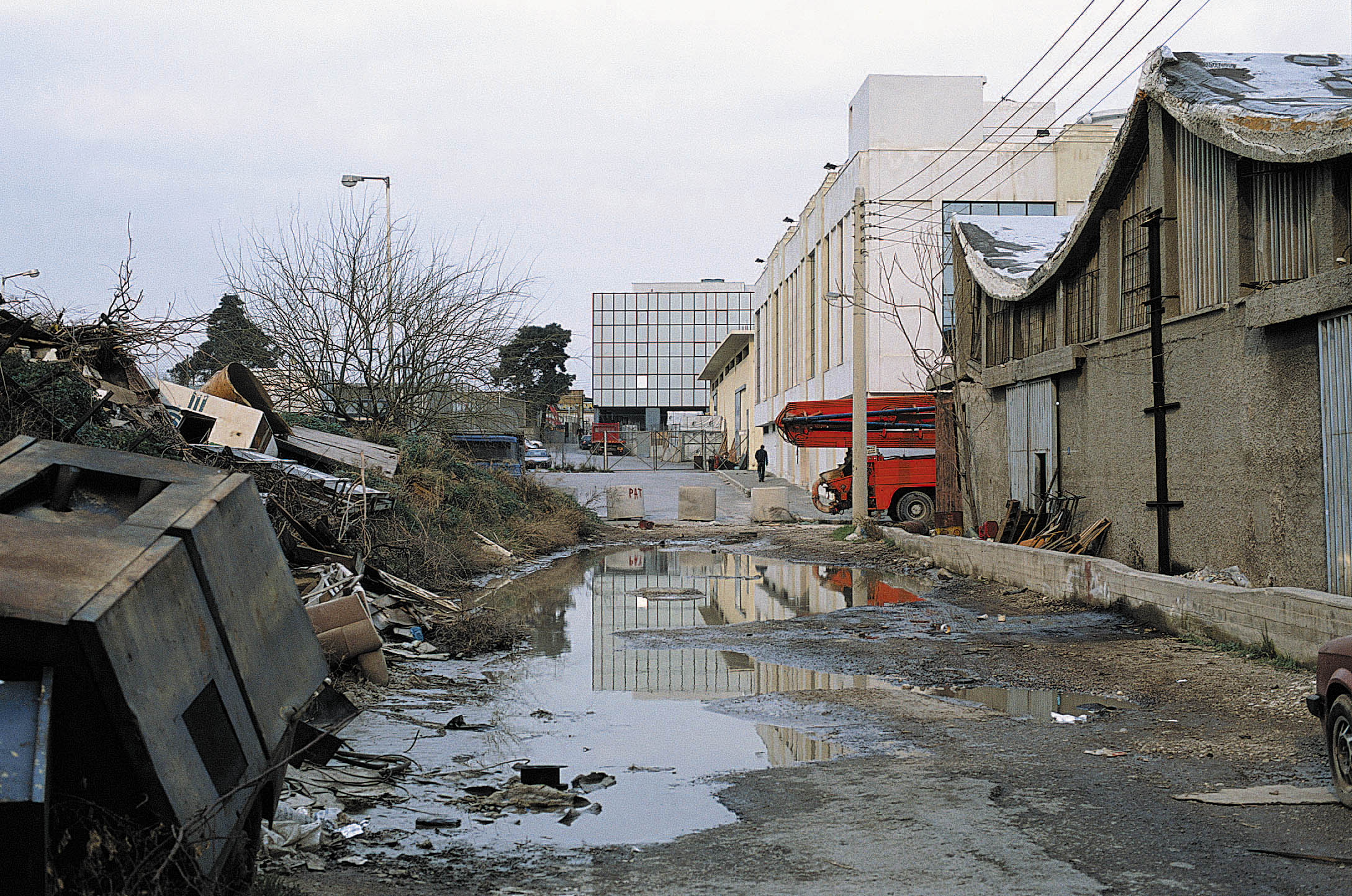 SΟS για τις διοξίνες, κίνδυνος για πανώλη