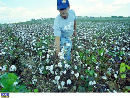 «Δώστε ενισχύσεις στους επιλαχόντες νέους αγρότες»