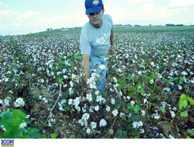 «Δώστε ενισχύσεις στους επιλαχόντες νέους αγρότες»