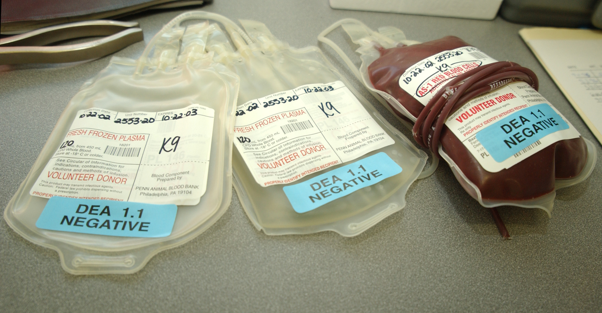 Υπ. Υγείας: «Κανενός είδους διάκριση κατά την αιμοδοσία»