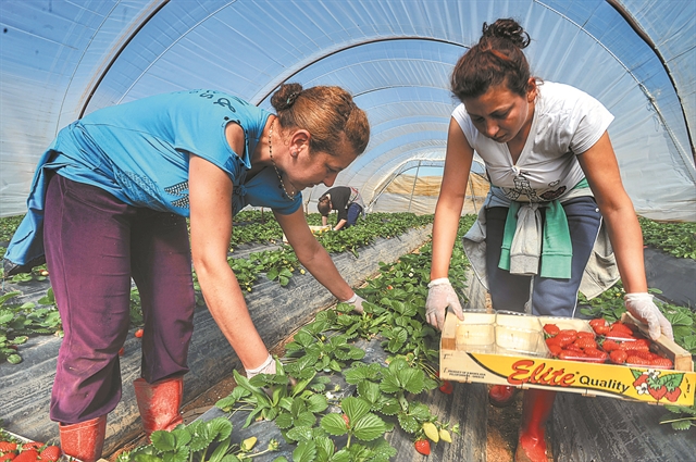 Η αγροτική παραγωγή «χωνεύει» τις καταστροφές