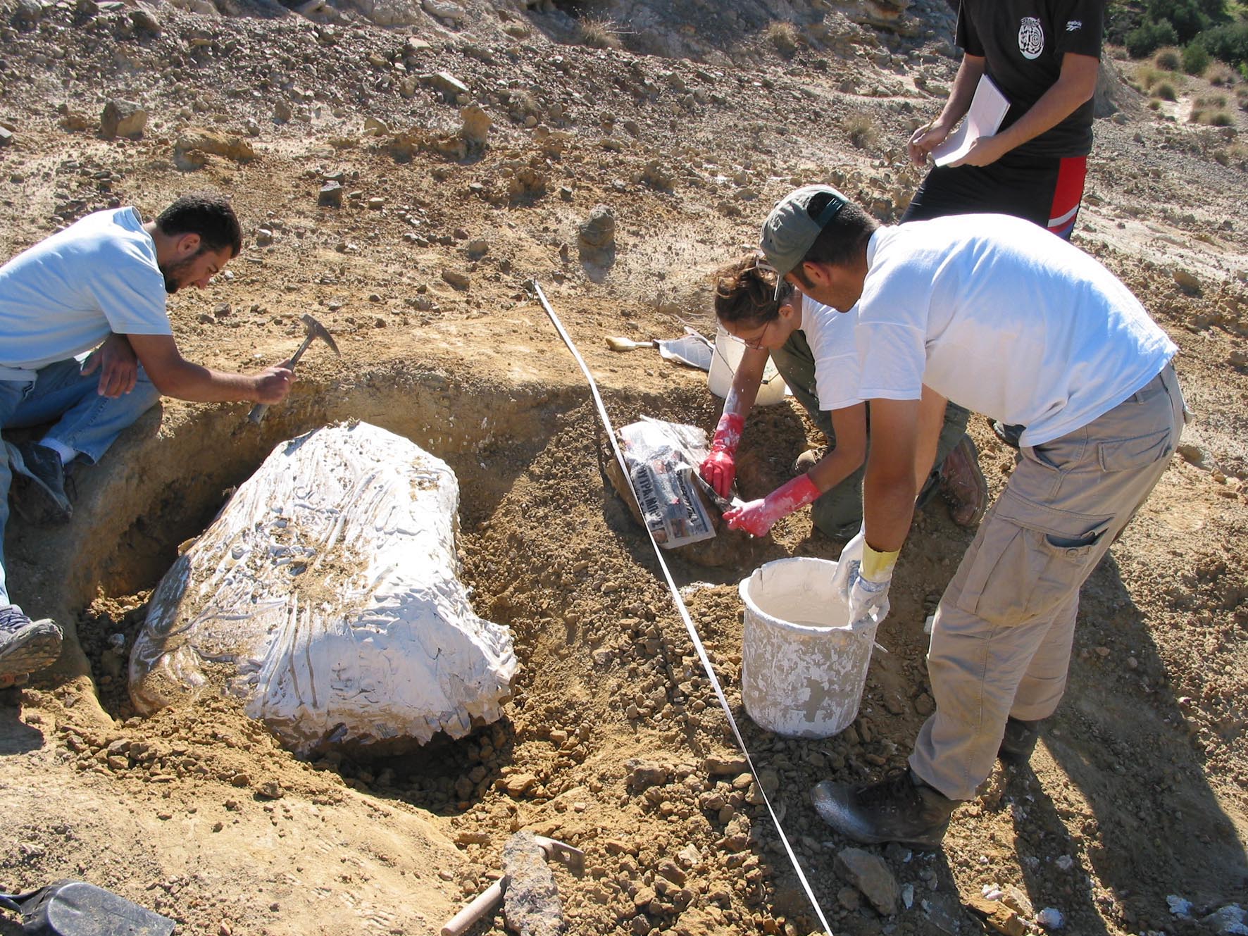 Στάση εργασίας από τους έκτακτους αρχαιολόγους την Πέμπτη