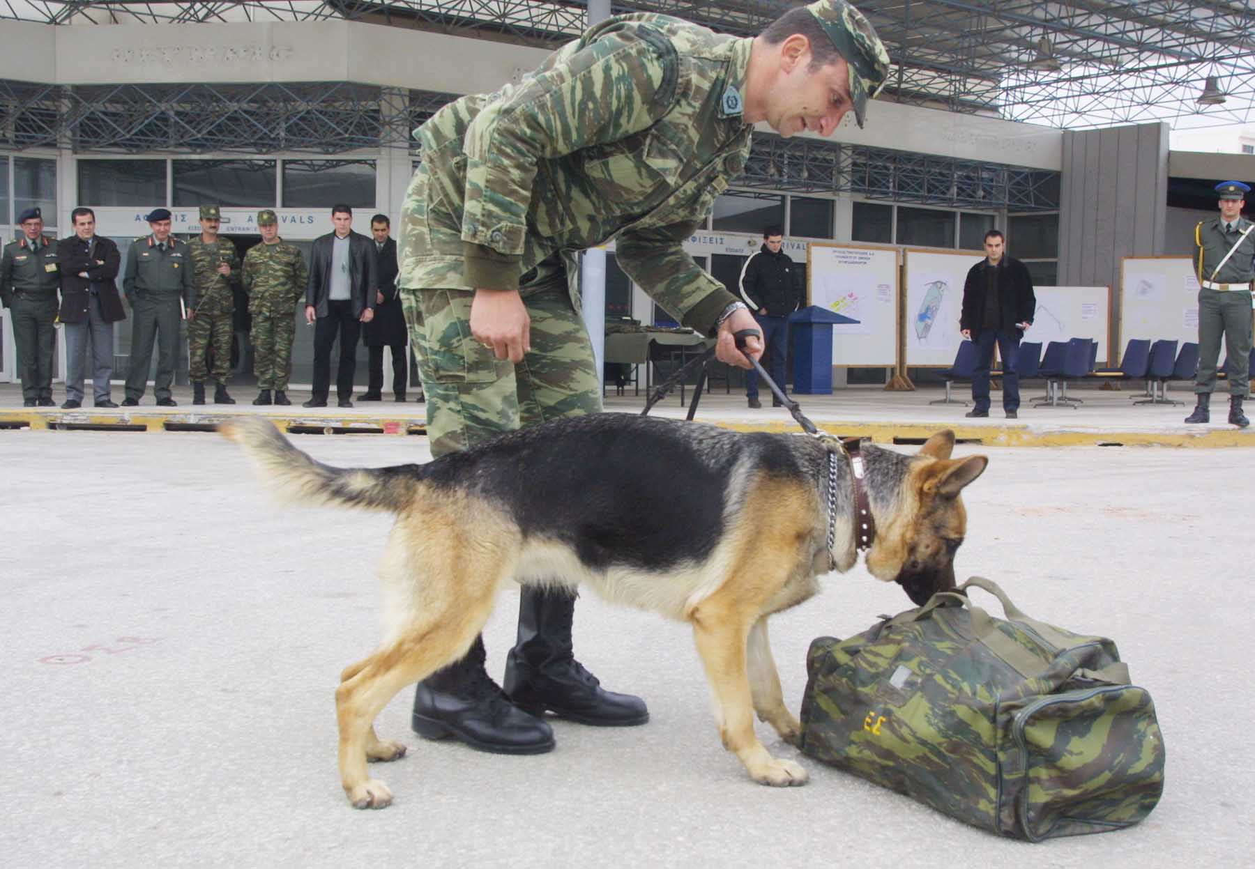 Ελληνικός Στρατός: Για πρώτη φορά άσκηση με εκπαιδευμένους σκύλους