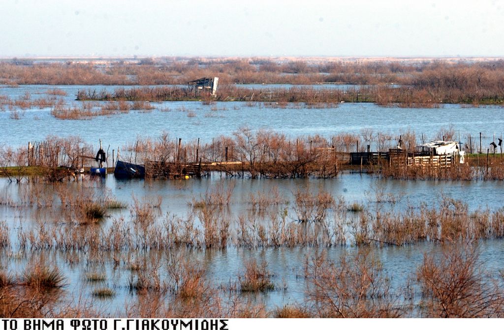 Δημόσια διαβούλευση για το σχέδιο Προεδρικού Διατάγματος Αξιού