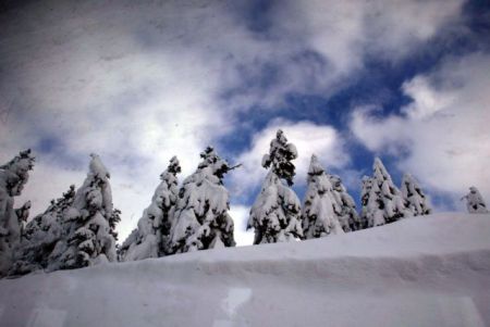 ΕΛΛΑΣ - ΑΡΑΧΩΒΑ - ΠΑΡΝΑΣΣΟΣ - ΔΕΝΤΡΑ - ΕΛΑΤΑ - ΧΙΟΝΙ - ΟΥΡΑΝΟΣ - ΤΟΠΙΟ - ΤΟΥΡΙΣΜΟΣ