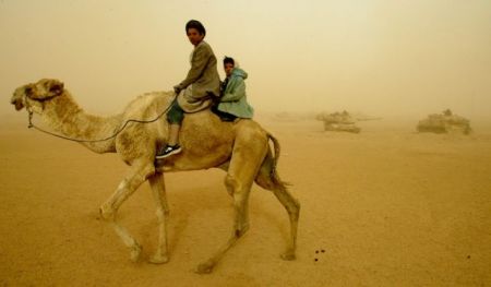 Mολυσμένες από MERS οι καμήλες στη Σ. Αραβία