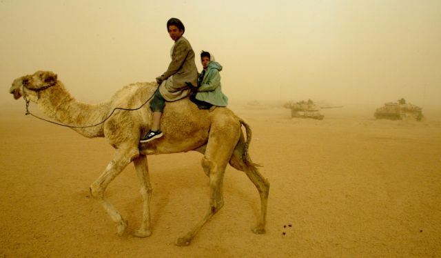 Mολυσμένες από MERS οι καμήλες στη Σ. Αραβία