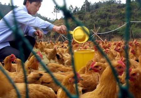 Πρόστιμα 42,5 εκατ. ευρώ σε 13 πτηνοτροφικές επιχειρήσεις