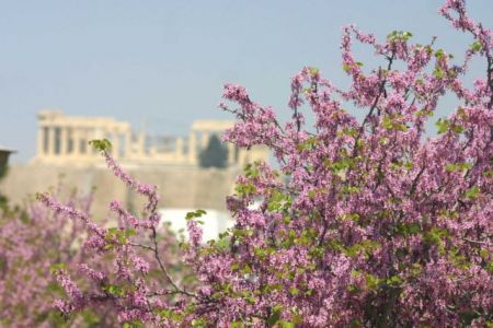 Αίθριος ο καιρός το Πάσχα – Στους 24 βαθμούς η θερμοκρασία