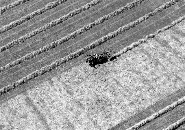 Οι επιπτώσεις της κλιματικής αλλαγής στον αγροτικό τομέα και μέτρα προσαρμογής