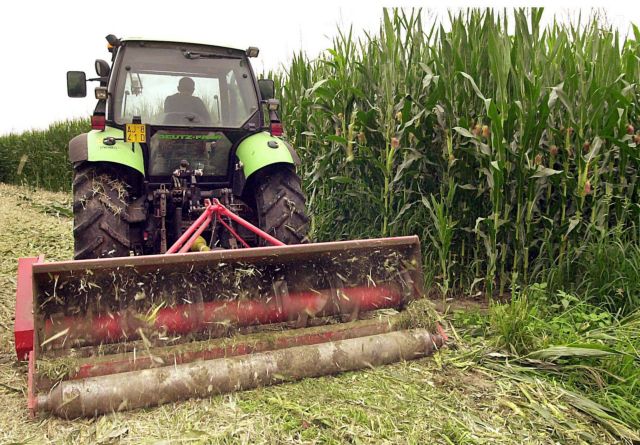 «Απομεταλλαγμένη» ζώνη η Ελλάδα