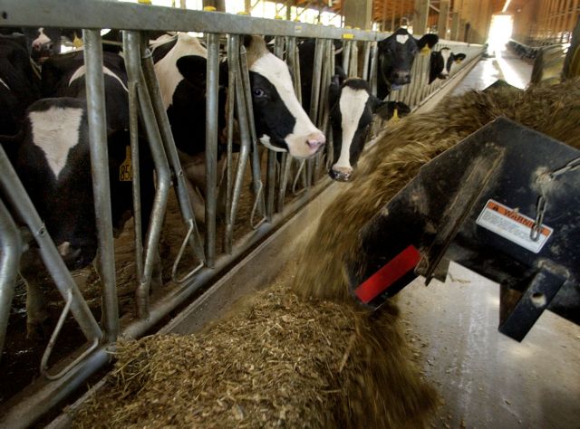 Προς παράταση για «τακτοποιήσεις» σταβλικών εγκαταστάσεων