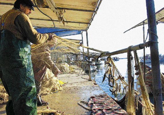 «Στερεύουν» από ψάρια οι ελληνικές θάλασσες