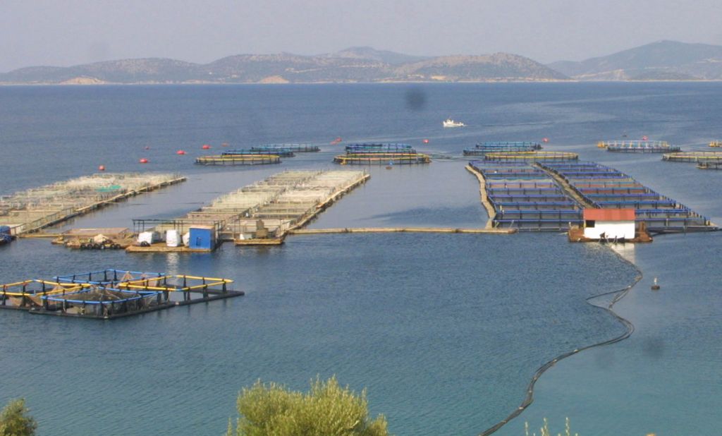 Αναψε «πράσινο» για τη διάσωση του κλάδου των ιχθυοκαλλιεργειών
