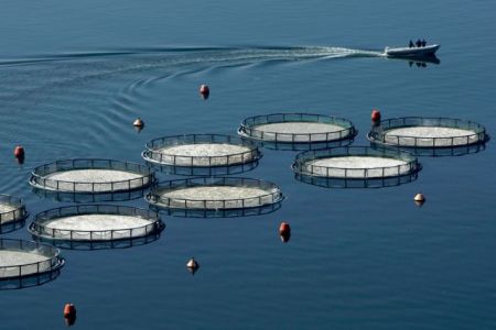 Σκληρό πόκερ για την πώληση Νηρέα – Σελόντα