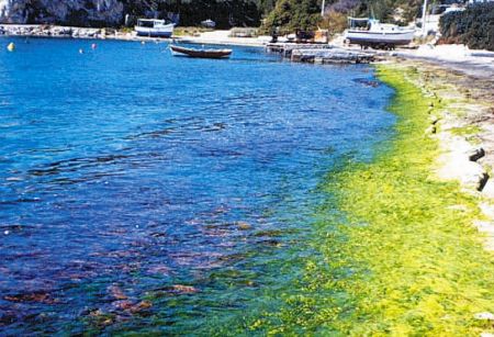 Σαντορινιός: «Θα διερευνηθεί κάθε πτυχή του συμβάντος του Αγία Ζώνη»