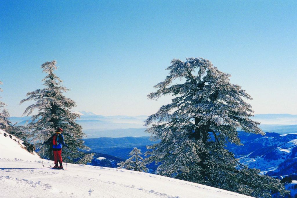 Βασιλίτσα: Xιονοστιβάδα καταπλάκωσε παρέα που έκανε snowboard