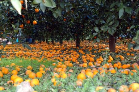 Για μια βιώσιμη ανάπτυξη