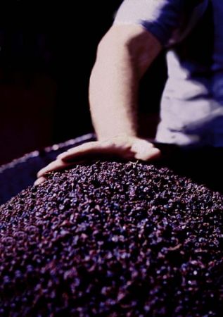 Aνάκληση συσκευασμένης σταφίδας από τον ΕΦΕΤ