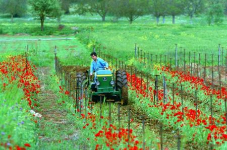 Την Τετάρτη οι επιστροφές για το αγροτικό πετρέλαιο