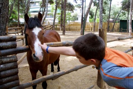 Τα κατοικίδια δίνουν μαθήματα ζωής